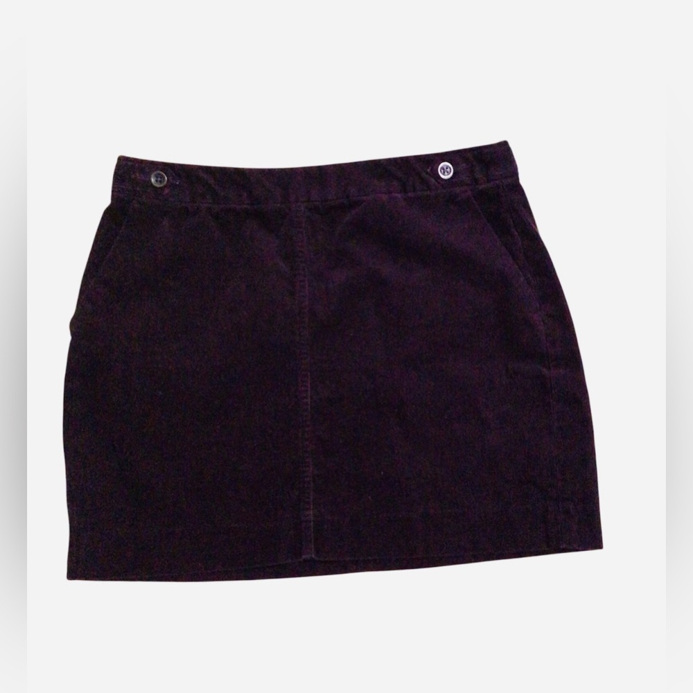 Banana Republic Dark Purple Mini Skirt